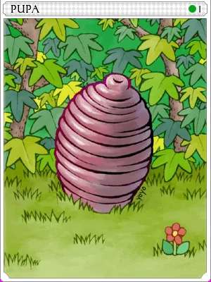 Pupa Card