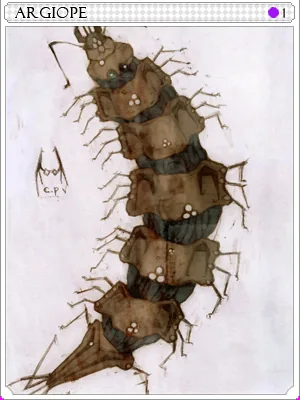 Argiope Card
