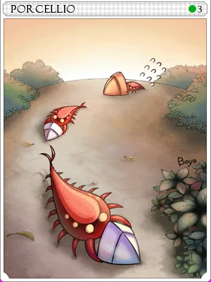 Porcellio Card