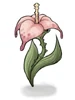 Wild Flower