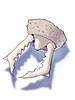 Ant Jaw