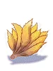 Nine Tails