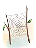 Cobweb