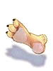 Tiger's Footskin