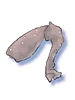 Bug Leg