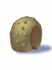 Round Shell