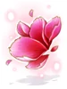 Peony Mamy