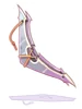 Huuma Wing Shuriken
