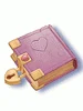 Girl's Diary