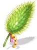 Fine Foxtail Replica