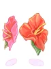 Costume Hibiscus