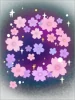 Aura Suprema Sakura