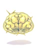 Costume Yellow Brain Hat