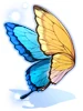 Costume Ulysses Wings