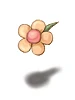 Romantic Flower