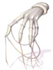 Evil Spirit Gloves