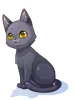 Costume Black Cat
