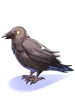 Costume Crow on Shoulder