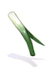 Costume Green Onion in Mouth