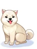 Costume Kishu Dog