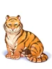 Costume Tiger