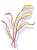 Bag of Grain