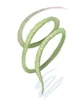 Strong Vine