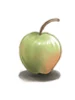 Unripe Apple