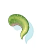 Petite's Tail