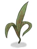 Deadly Noxious Herb