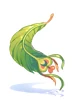Cendrawasih Feather
