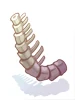 Tikbalang's Thick Spine