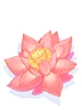Elegant Flower