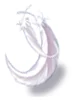 Soft Feather