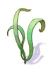 Singing Plant
