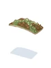 Poisonous Toad Skin