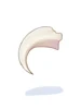 Leopard Claw