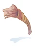 Decomposed Rope