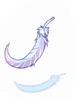 Feather of Birds