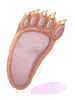 Bear's Footskin