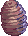 Pupa