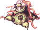 Mandragora