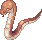 Anacondaq
