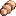 Thief Bug Egg