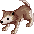 Baby Desert Wolf