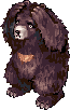 Zipper Bear