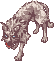 Coyote