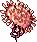 Sea Anemone